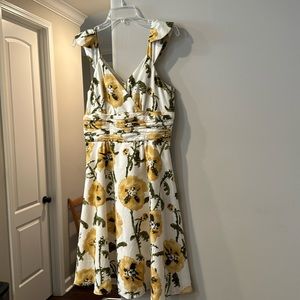 Chadwick’s Collection Dress, Size 10P